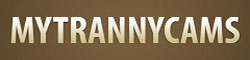 My Tranny Cams image