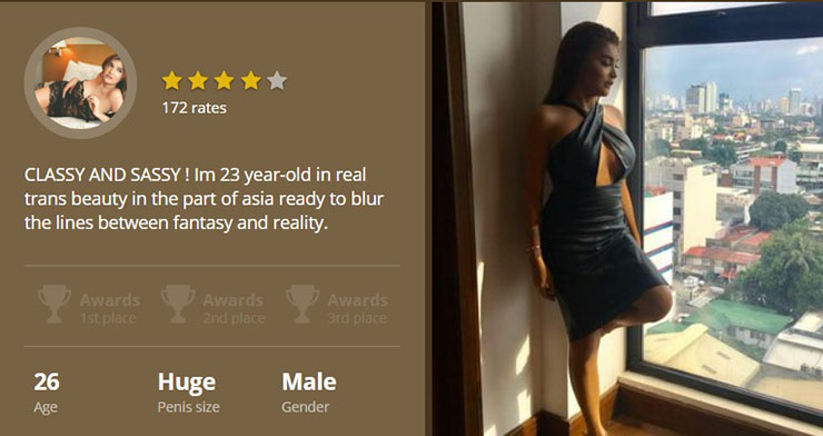 Explore profiles and photo collections.